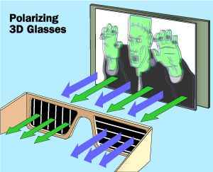 How polarized 3D glasses work